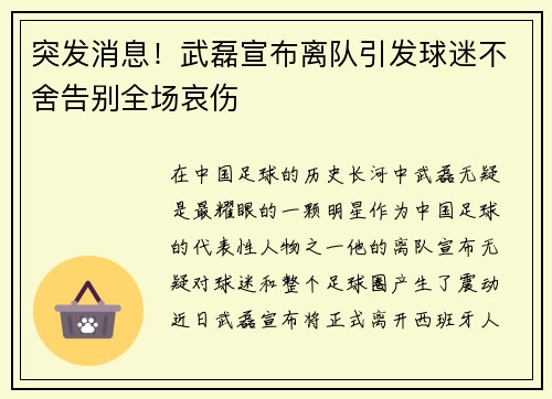 突发消息！武磊宣布离队引发球迷不舍告别全场哀伤